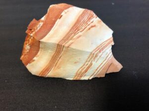 ウェブサイトを公開しました